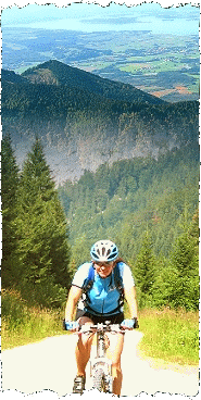 Alpen-FIT-S