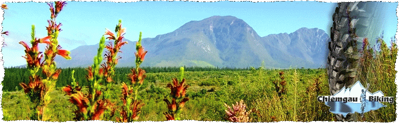 Enjoy the CAPE EPIC