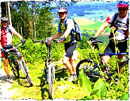 Alpen-FIT