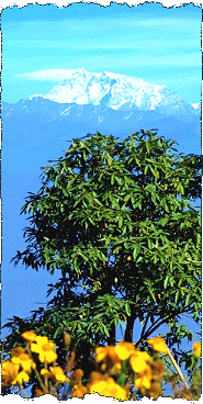 Himalaya-PANORAMA-Tour 