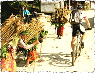 Himalaya-PANORAMA-Tour 