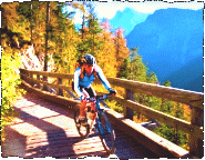 Pinzgau-Cross