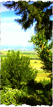 S�dfrankreich